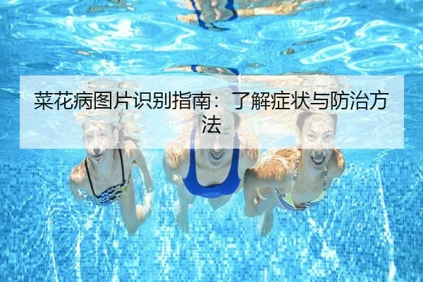 菜花病图片识别指南：了解症状与防治方法